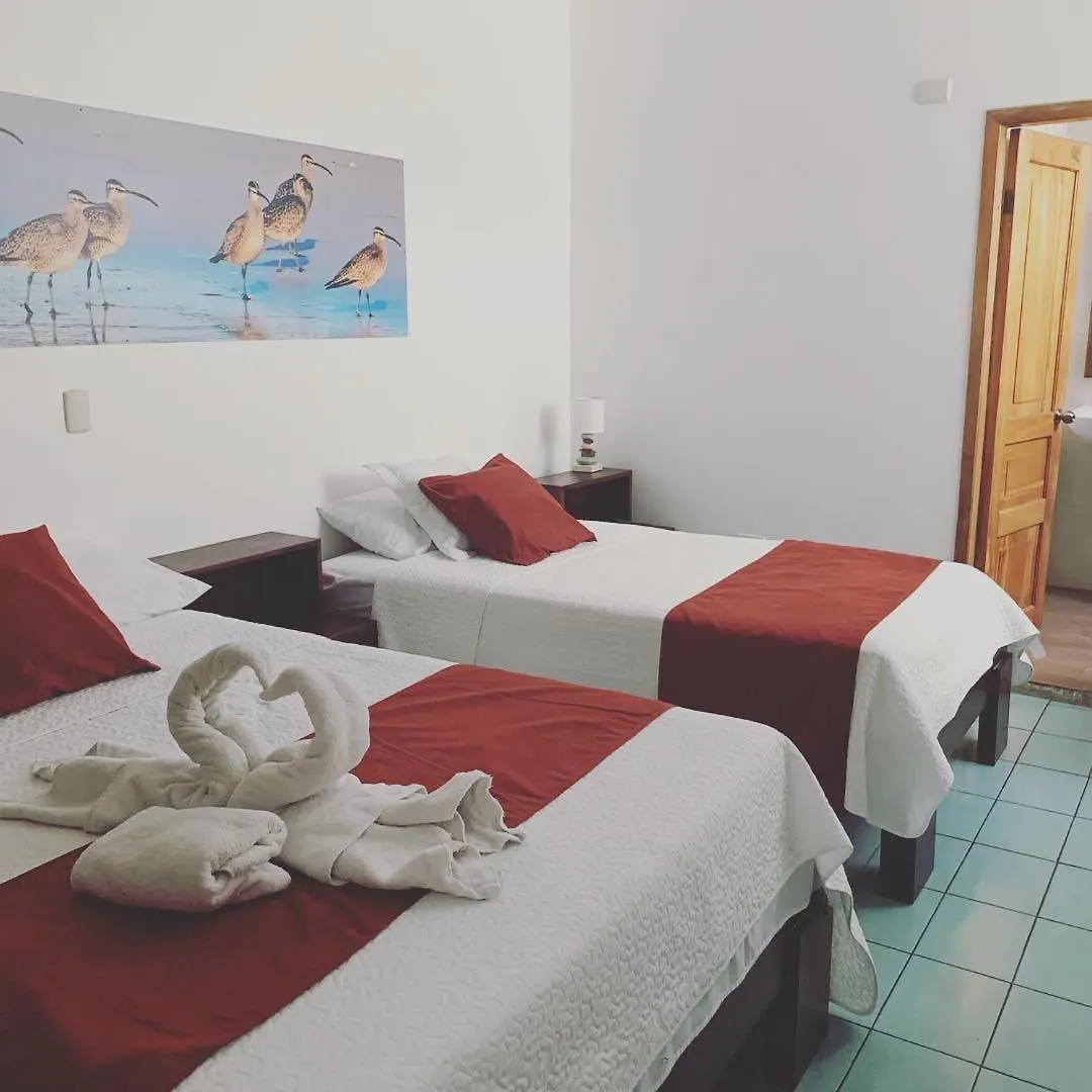 Hostal Costa Del Pacifico Puerto Ayora  Hostel
